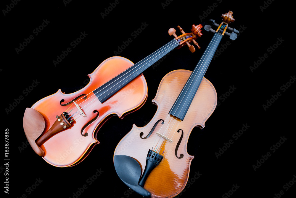 close-up violin