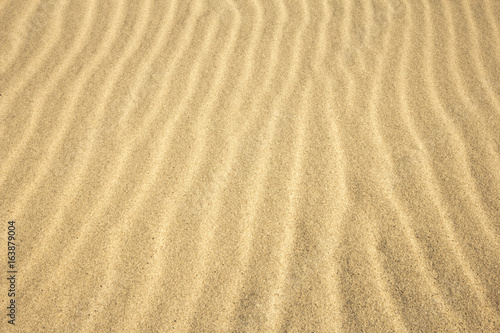 Sand Texture.  Sand Texture. 