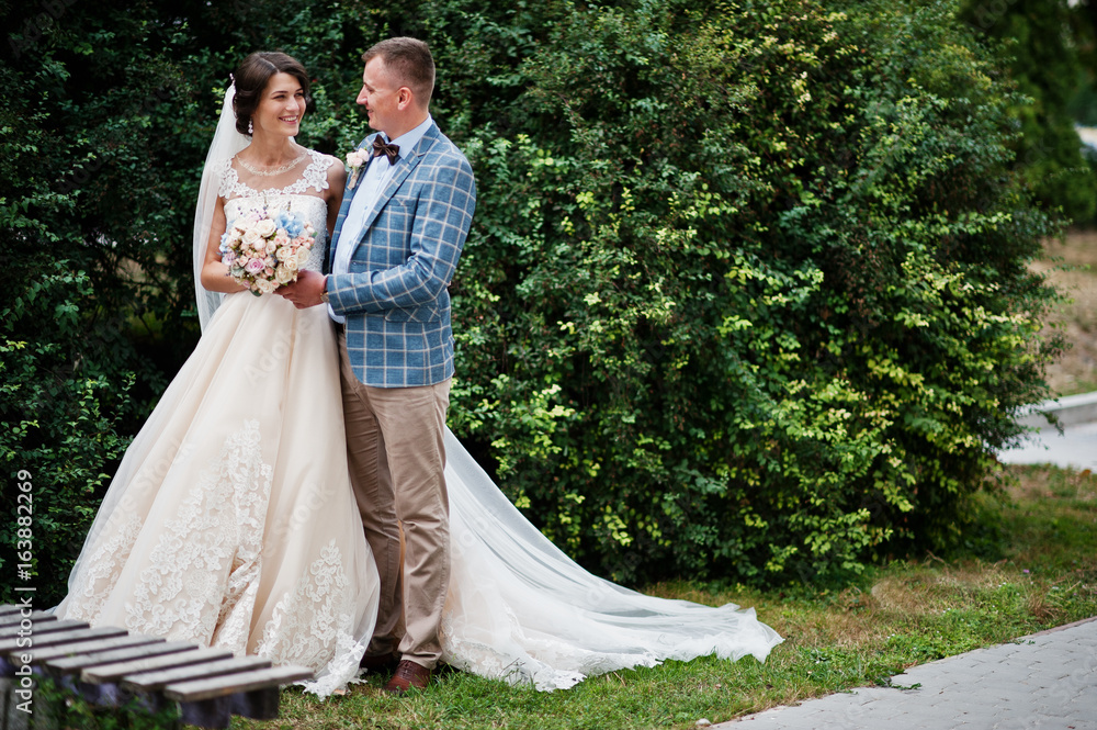 Attractive young wedding couple walking and posing in the park on a sunny day.