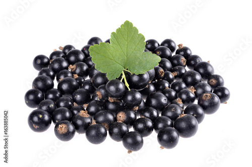 Black currant with green leaf isolated on white background.