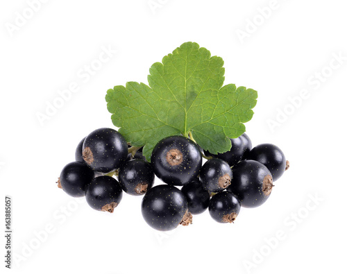 Black currant with green leaf isolated on white background.