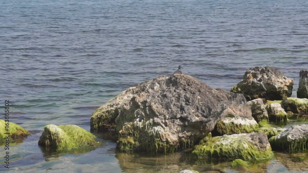 stones boulders on the shore of the black sea stones boulders on the shore of the black sea