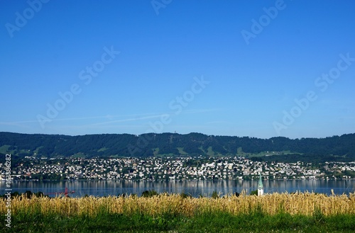 Wald in Zollikon in der Schweiz