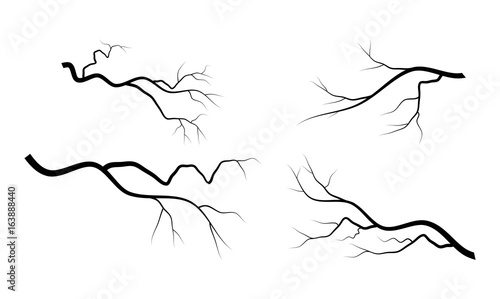 bare branch set vector symbol icon design.