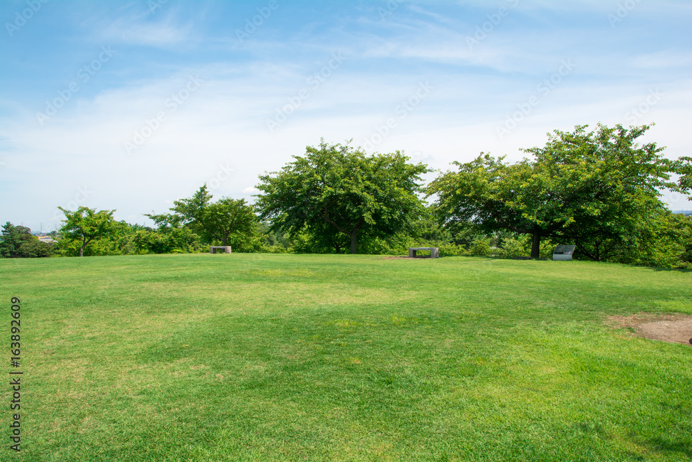 青空と芝生の公園