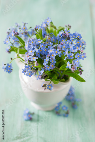 forget-me-not flower