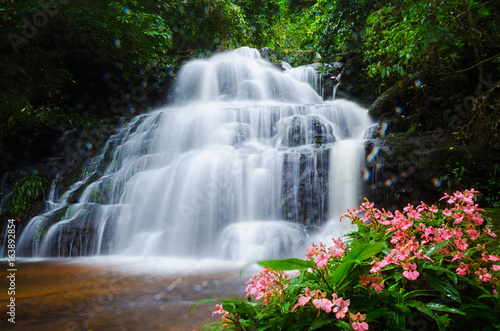  Mandang waterfall ,Thailand,flower