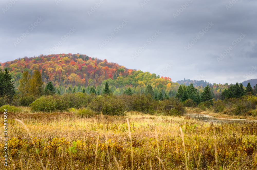 Autumnal Mountain Landscape on a Foggy Day, Adirondacks, NY. Autumnal Mountain Landscape on a Foggy Day, Adirondacks, NY.