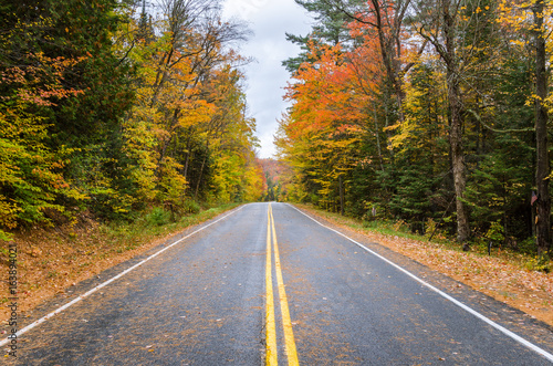 Autumn Colours along a Mountain Road on a Rainy Day