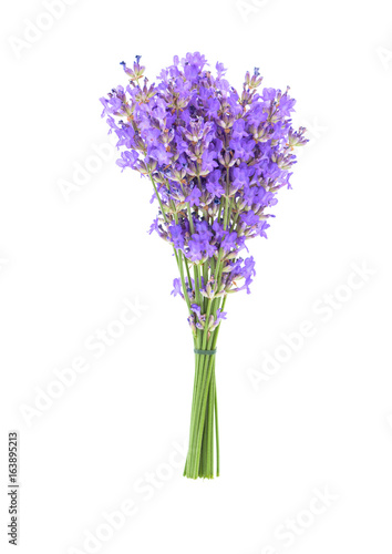 Fototapeta Naklejka Na Ścianę i Meble -  Bouquet of lavender flower isolated on white background 