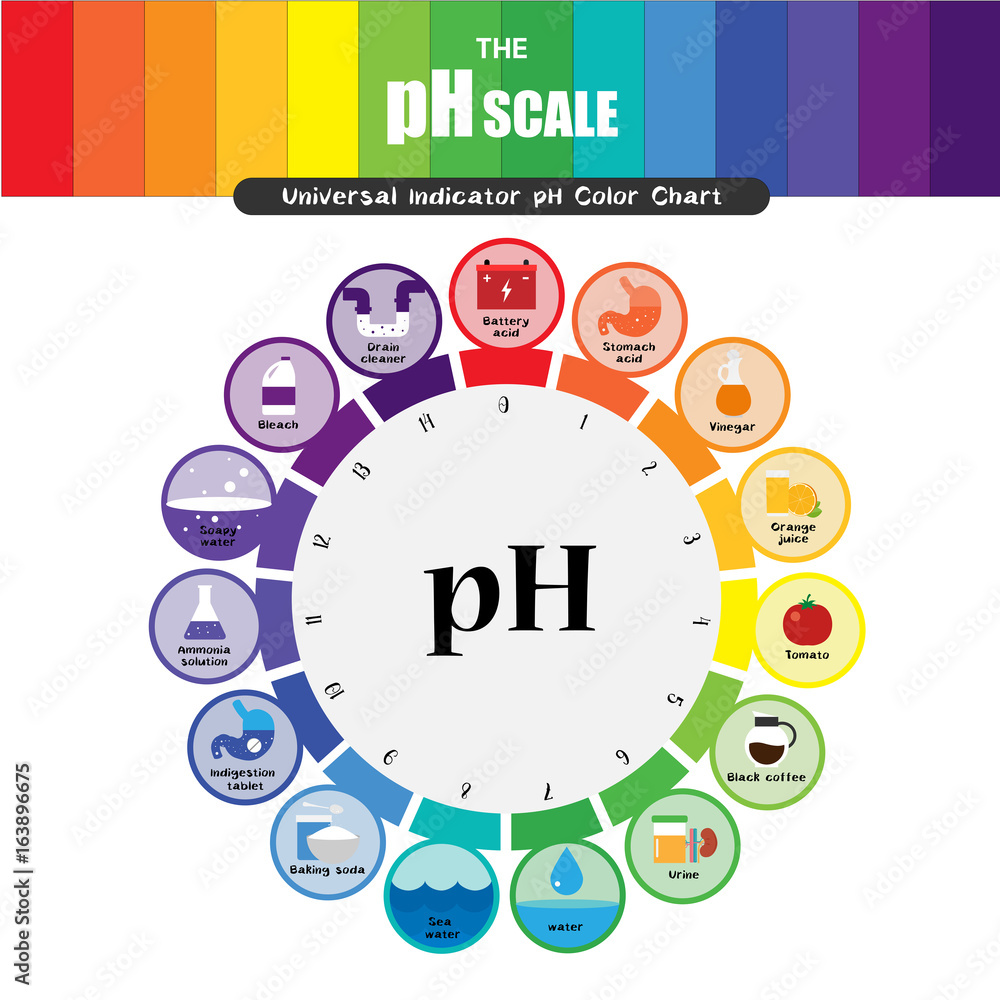 The pH scale Universal Indicator pH Color Chart diagram Stock Vector ...