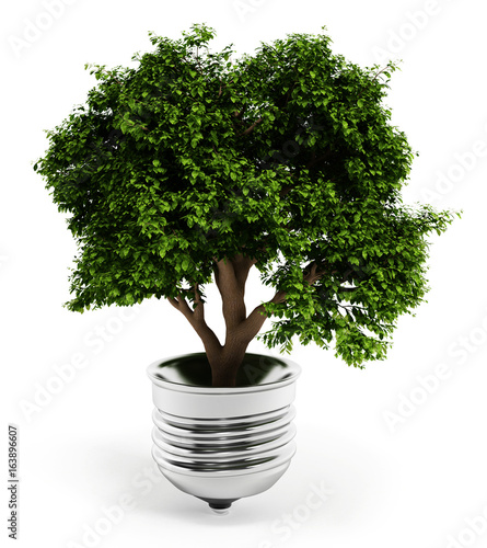 Tree standing inside the lightbulb isolated on white background. 3D illustration