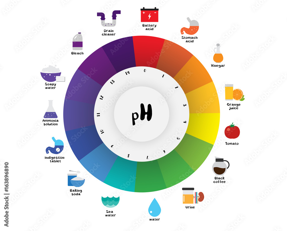 The pH scale Universal Indicator pH Color Chart diagram Stock Vector