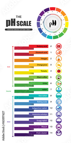 The pH scale Universal Indicator pH Color Chart diagram
