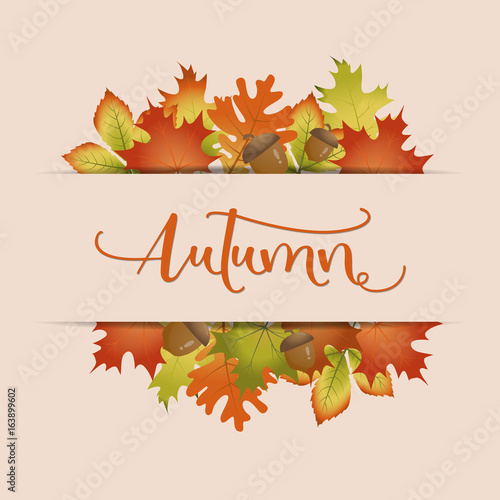 Colorful autumn leaves back...