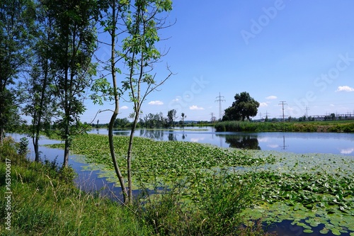 Donau fluss in erbach nahe Ulm 