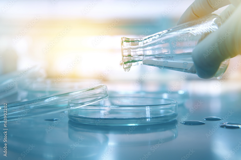 scientist hand poring water from flask to petri dish in medical science laboratory scientist hand poring water from flask to petri dish in medical science laboratory