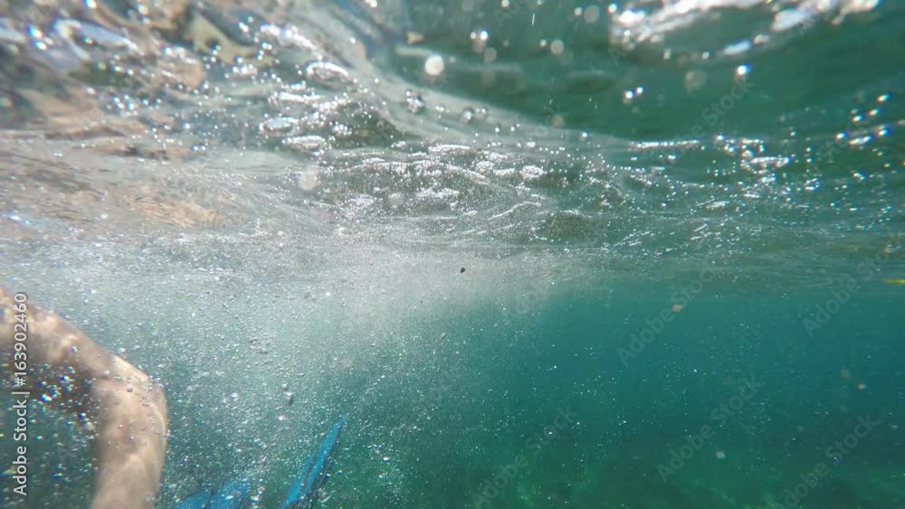Swimmer in flippers dives into the sea, raw, 4K Swimmer in flippers dives into the sea, raw, 4K