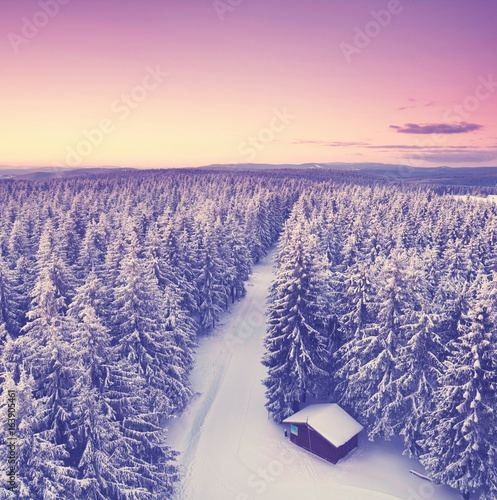 Sonnenuntergang im Winter - zauberhafter Winterwald