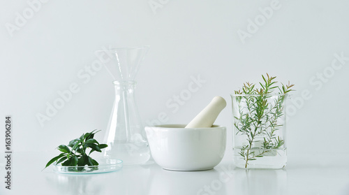 Fotografia Natural organic botany and scientific glassware, Alternative herb medicine, Natural skin care beauty products, Research and development concept