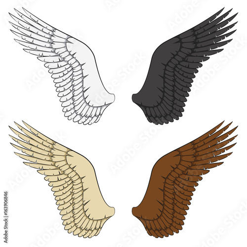 Set of color illustrations of wings. Isolated vector objects on white background.