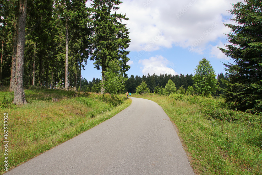 Nationalpark Harz, Wanderweg zum Eckerstausee Nationalpark Harz, Wanderweg zum Eckerstausee