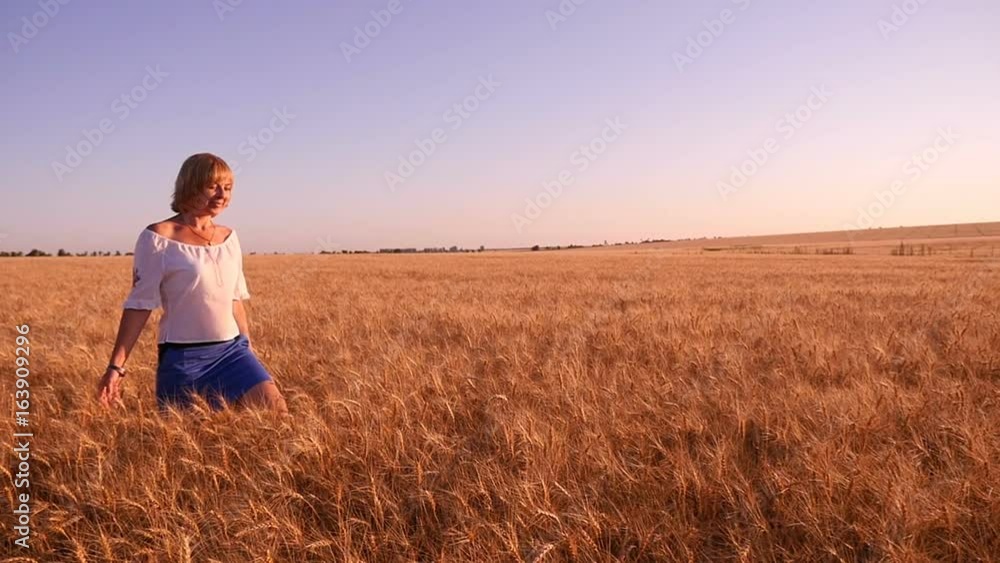 Gorgeous view of a cheerful blonde woman who goes along the splendid wheat field with ripe spikes and touches it with her hands on a sunny day in summer in slow motion. The rays of sun are impressive. Gorgeous view of a cheerful blonde woman who goes along the splendid wheat field with ripe spikes and touches it with her hands on a sunny day in summer in slow motion. The rays of sun are impressive.
