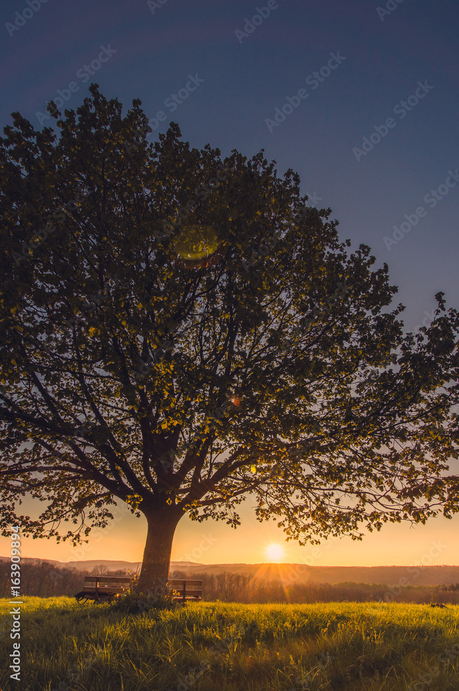 Sonnenuntergang auf der Schwäbischen Alb Sonnenuntergang auf der Schwäbischen Alb