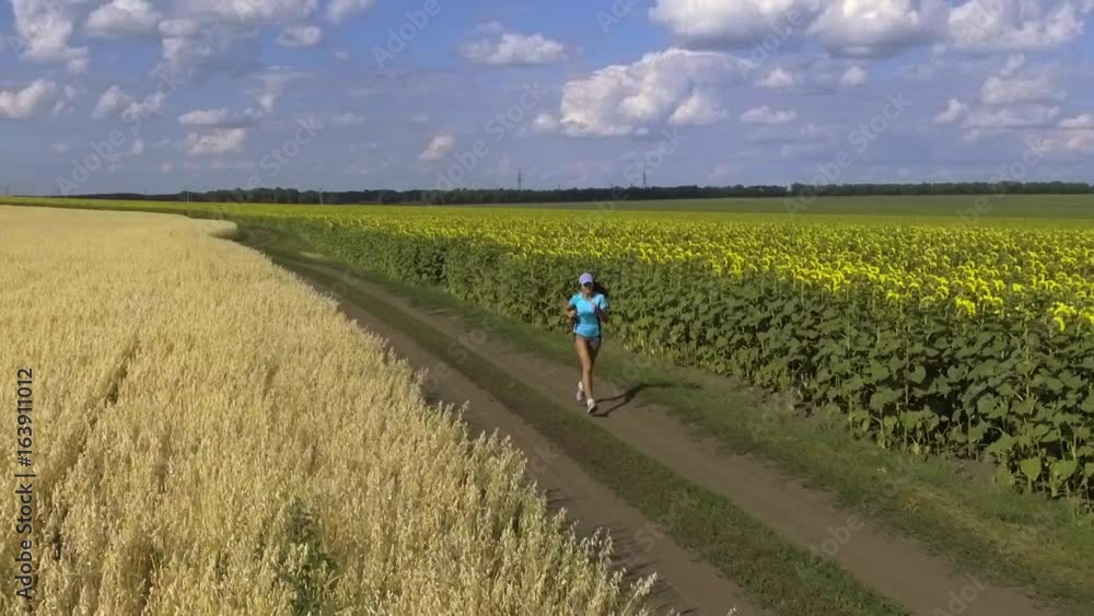 young woman running in the blooming sunflowers field. slow motion young woman running in the blooming sunflowers field. slow motion