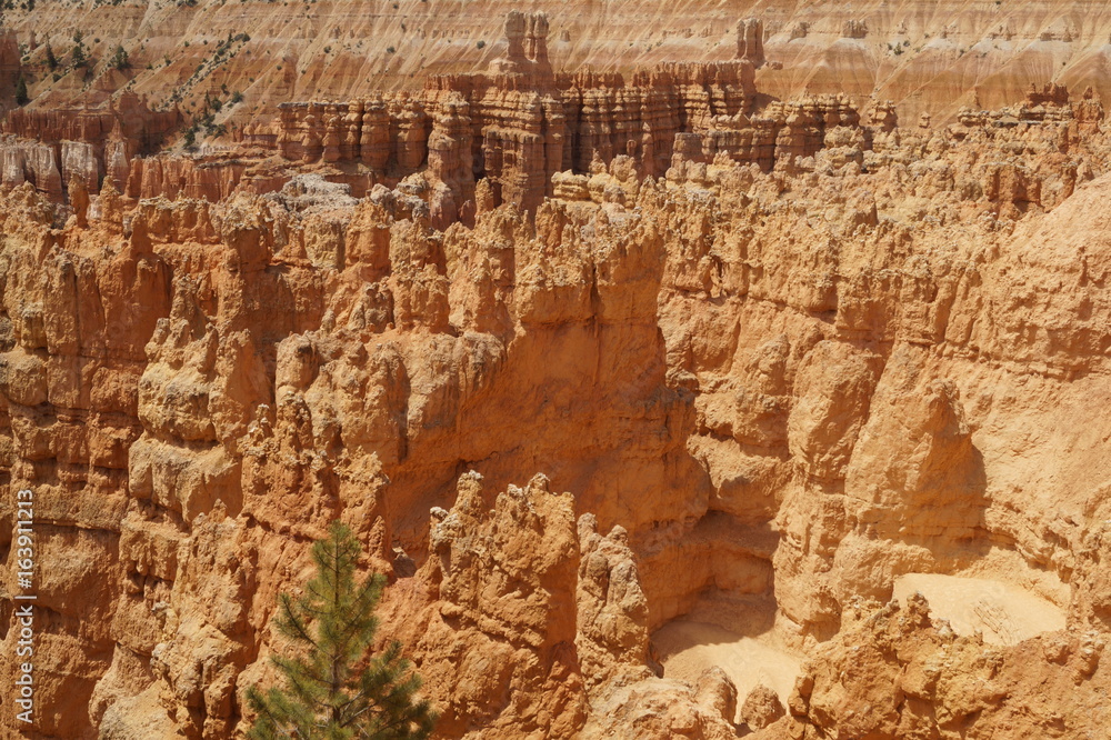 Canyonlandschaft am Bryce Canyon