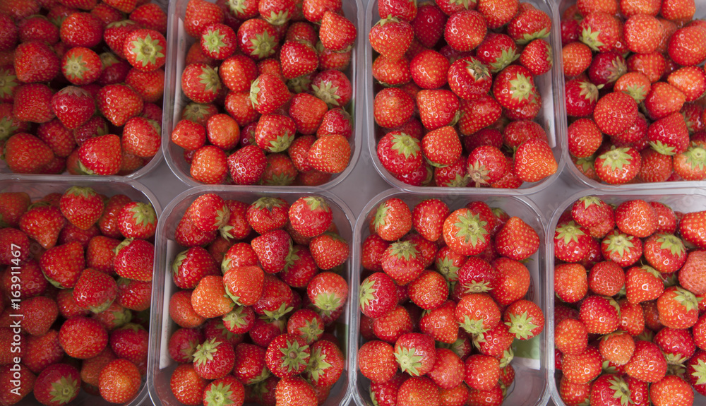 fraises fraises