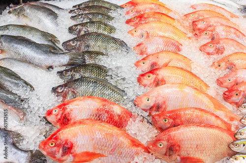 Frozen Nile Tilapia Fish in a Pile of Ice at supermarket, Mixed fish for sale on a market Background with fresh fish with ice hake