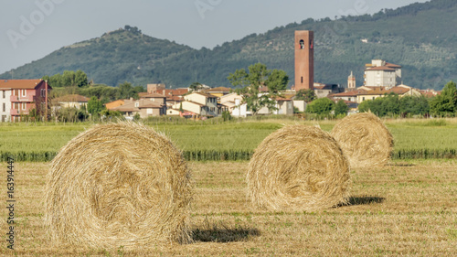 Field with large round hay bales in the countryside near Bientina, Pisa, Italy, visible in the background