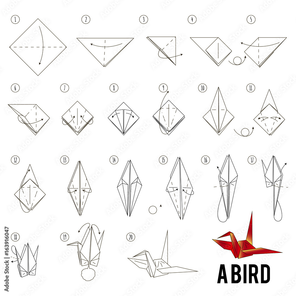 step by step instructions how to make origami A Bird. Stock Vector | Adobe  Stock