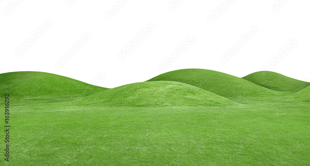 panorama of green hills is on white background - obrazy, fototapety, plakaty 