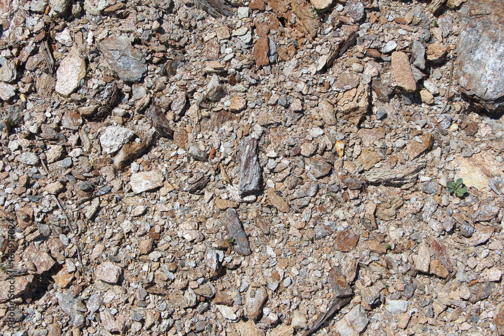 Texture stone Texture stone