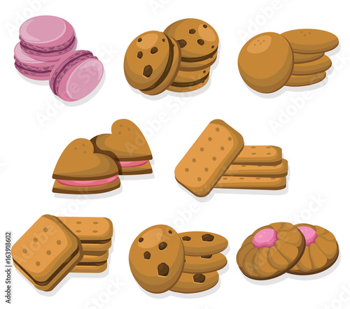 Delicious dessert chocolate cookies set collection vector illustration