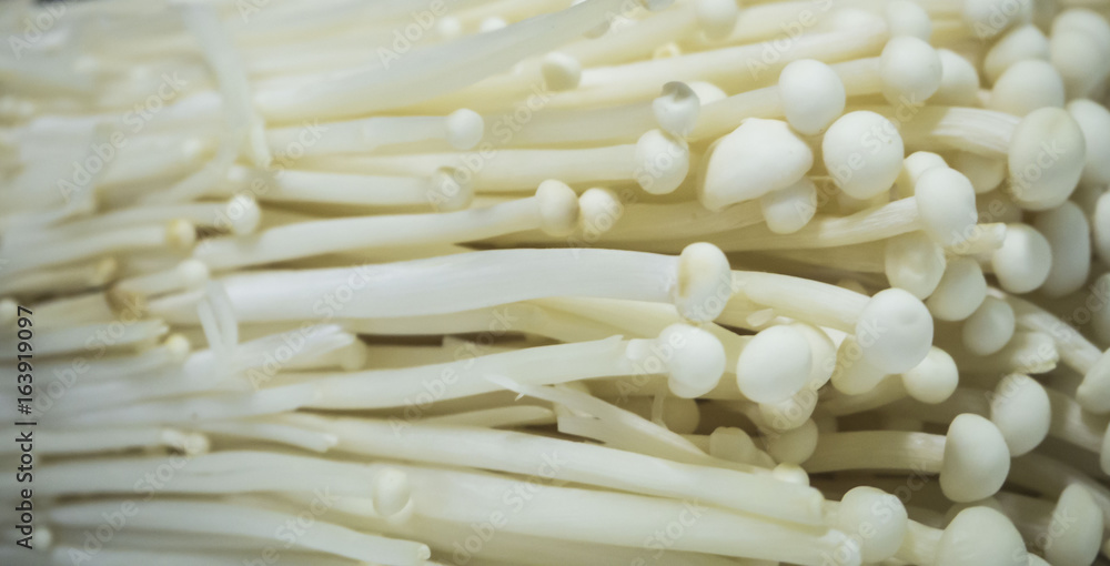 White enoki mushroom , diet concept White enoki mushroom , diet concept