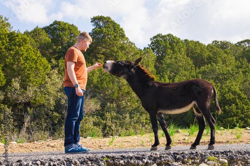 Young man playing and feed wild donkey, Cyprus, Karpaz National Park Wild Donkey Protection Area.