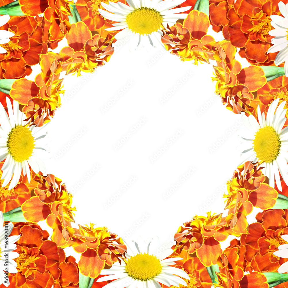 Beautiful floral background with daisies and marigolds Beautiful floral background with daisies and marigolds