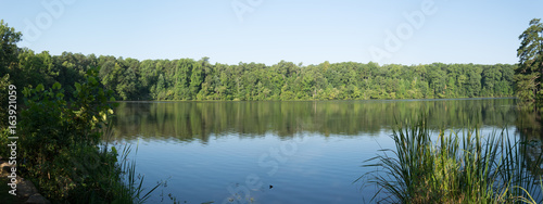Pond