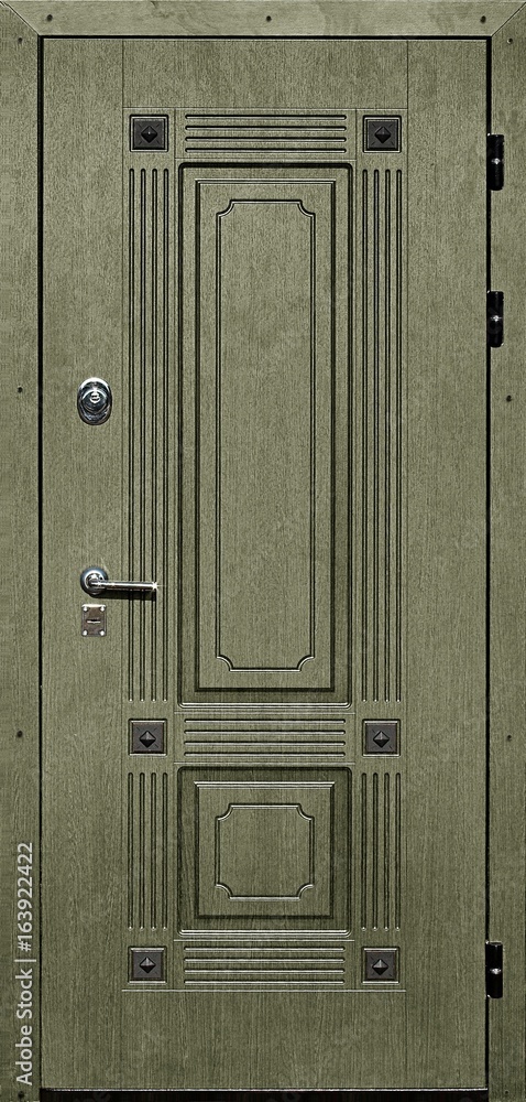 Fototapeta premium Entrance door (metal door)