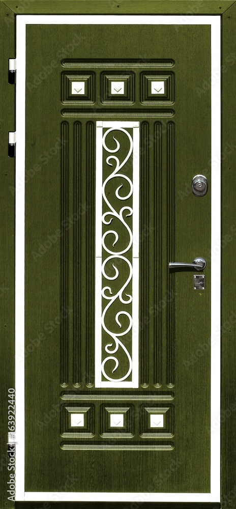 Obraz premium Entrance door (metal door)