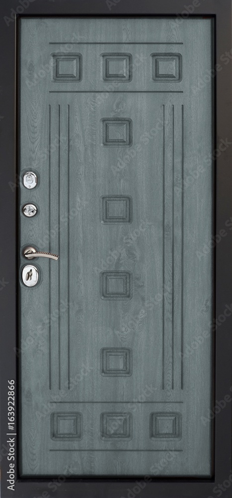 Obraz premium Entrance door (metal door)