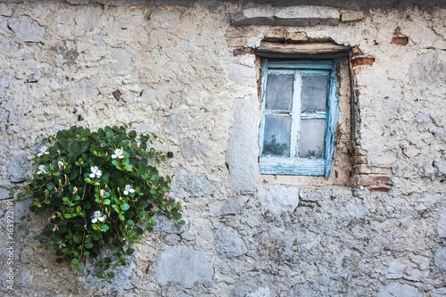 Flower pot and old window in mall village of Lubenice, Cres Island, Croatia.