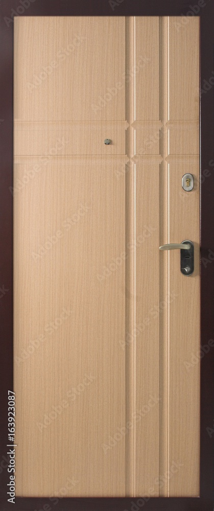 Obraz premium Entrance door (metal door)