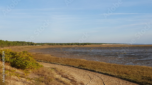 baie de la palmyre à marée basse photo