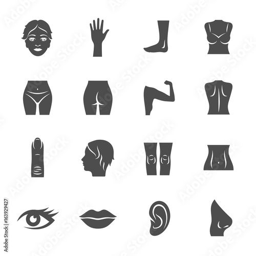 Female body parts icons