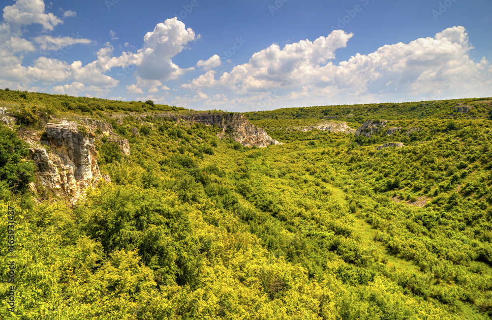 Obraz premium Beautiful summer landscape