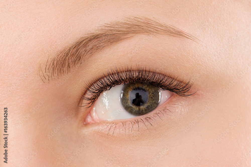 Closeup shot of female eye with day makeup Closeup shot of female eye with day makeup